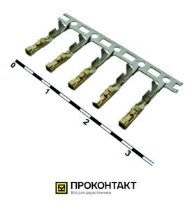Купить Контакты 2.54мм BLS(BLD) F Купить Контакты 2.54мм BLS(BLD) F в Челябинске
