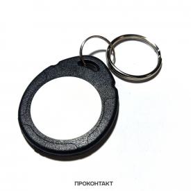 Купить Электронный ключ-заготовка (брелок)  125KHz перезаписываемый  формат EM Marin в Челябинске