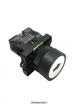 Купить Кнопка LXA2 (3SA5)-BA3341 off-(on) в Челябинске