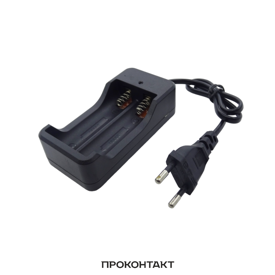 Купить Зарядное устройство для 2х18650 ZJ3009 в Челябинске