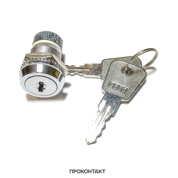 Купить Ключ - выключатель SK25-03A в Челябинске