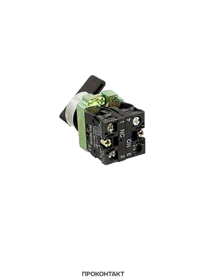 Купить Переключатель поворотный 3SA8-BJ25 (3A 440VAC) (2 положения, с фиксацией) в Челябинске