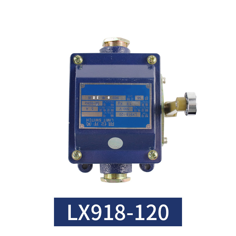 Купить Концевой выключатель LX918-120 в Челябинске