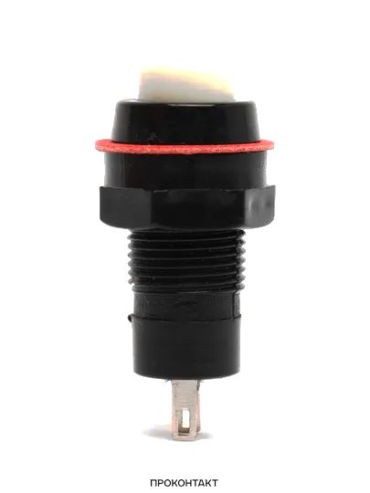Купить Кнопка DS-211 2A/250VAC с фиксацией белая в Челябинске