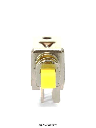 Купить Кнопка PS-22E05 с фиксацией в Челябинске